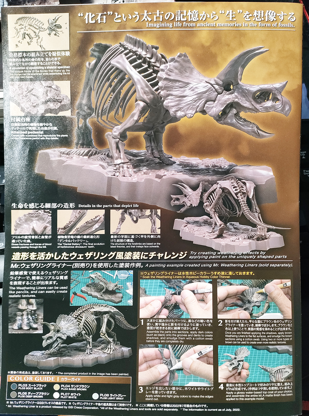 バンダイから発売。恐竜の骨格標本のプラモデルImaginary Skeleton トリケラトプスのキットレビュー | no model blog